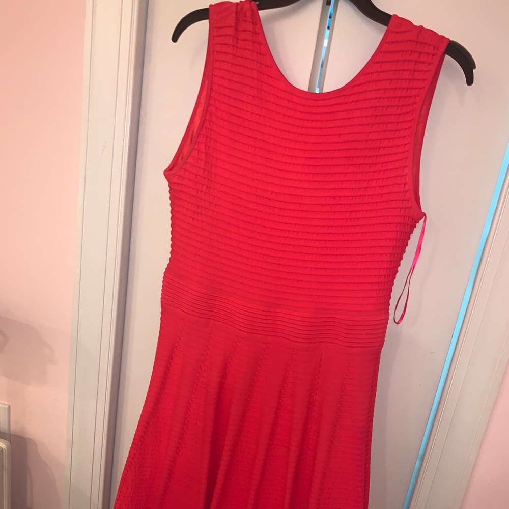 Ted Baker Fit and Flare Dress